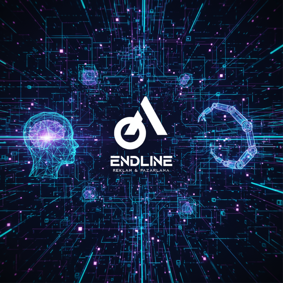 ENDLINE Dijital Pazarlama - Google Ads, Meta ve LinkedIn Reklam Yönetimi