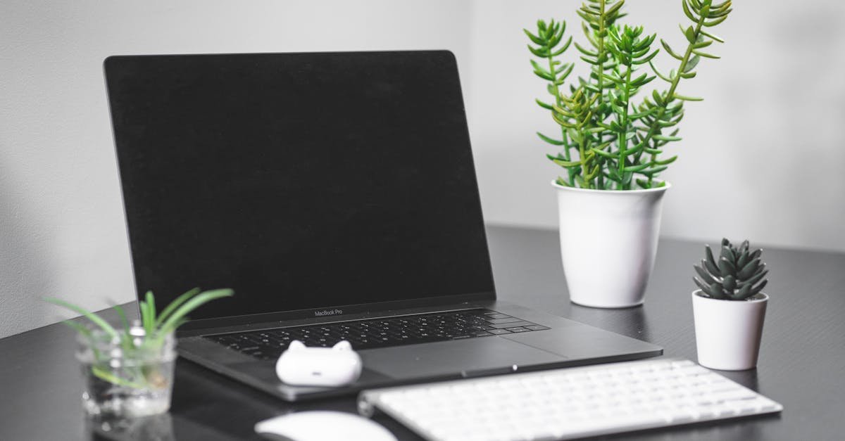 Pendik'te E-Ticaret Başarısının Sırları